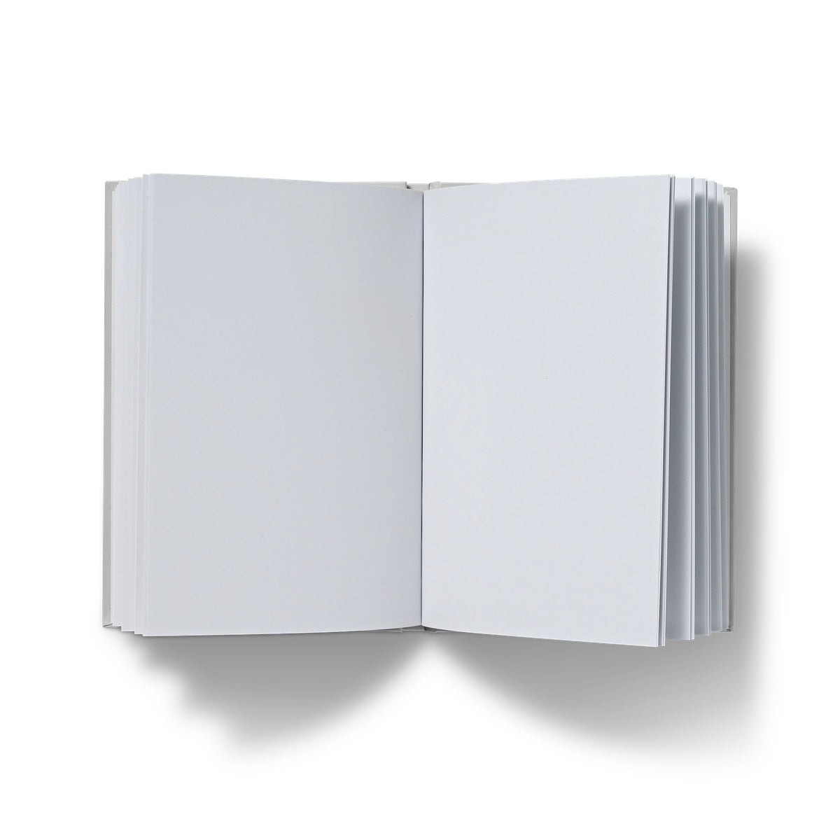 Are You Listening to Yourself? Hardback Journal